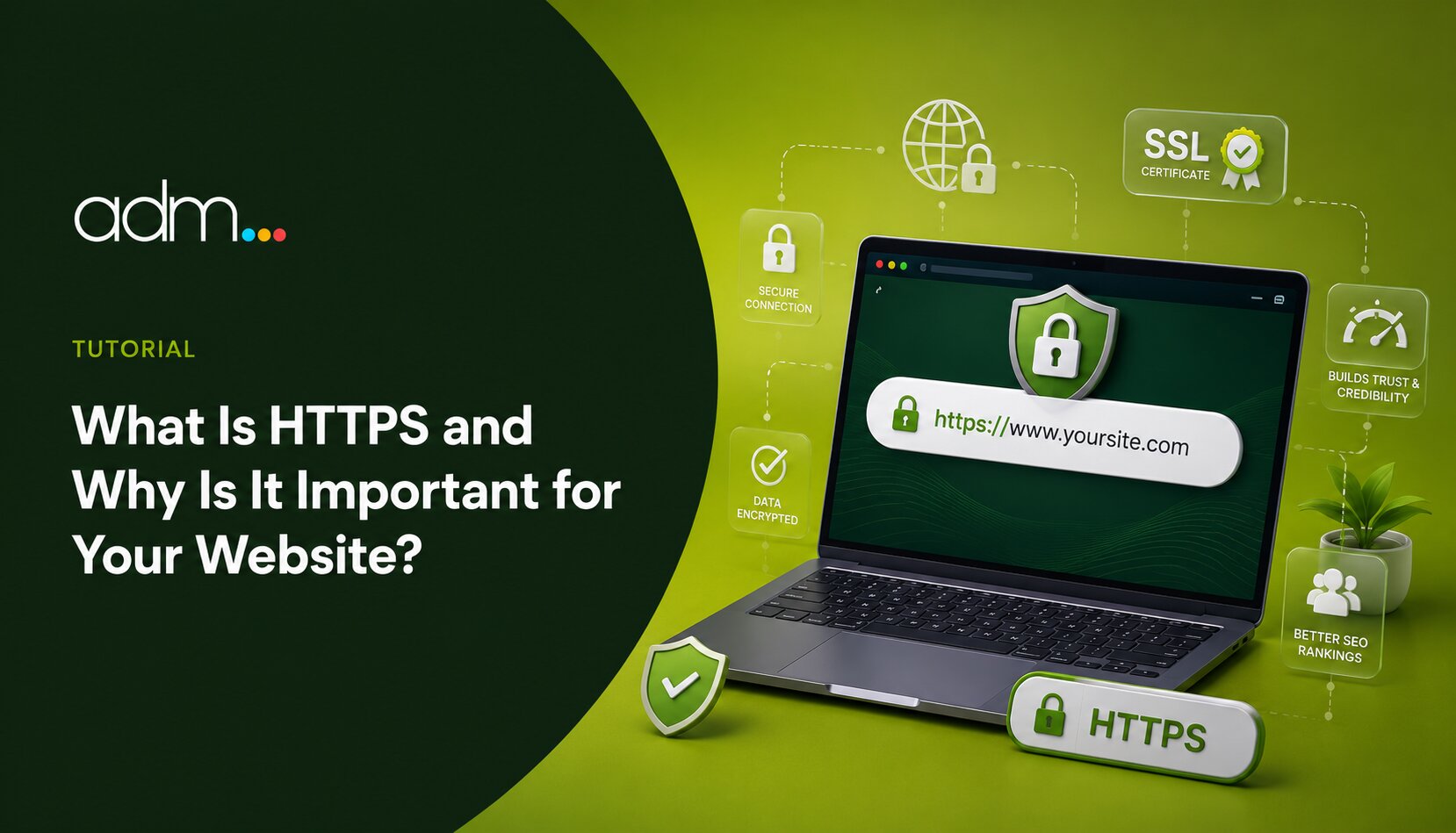 What Is HTTPS and Why Is It Important for Your Website